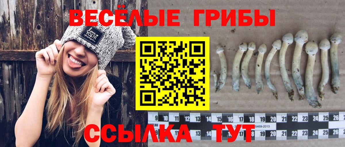 Минусинск  сколько стоит  Вход с VPN  Галлюциногенные грибы мицелий 